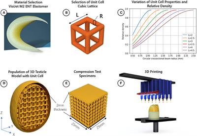 3D Printing Improved Testicular Prostheses: Using Lattice Infill Structure to Modify Mechanical Properties